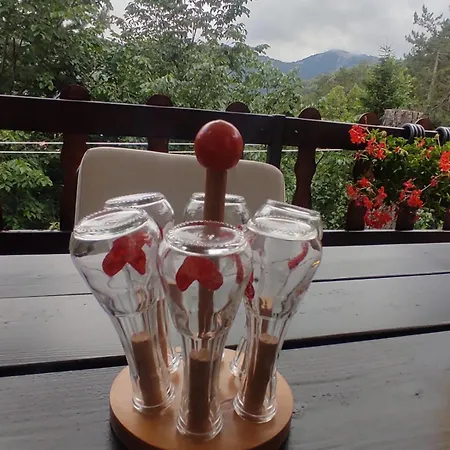 Tatil Evi Kuca Za Odmor Iva *