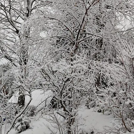 Kuca Za Odmor Iva Lič